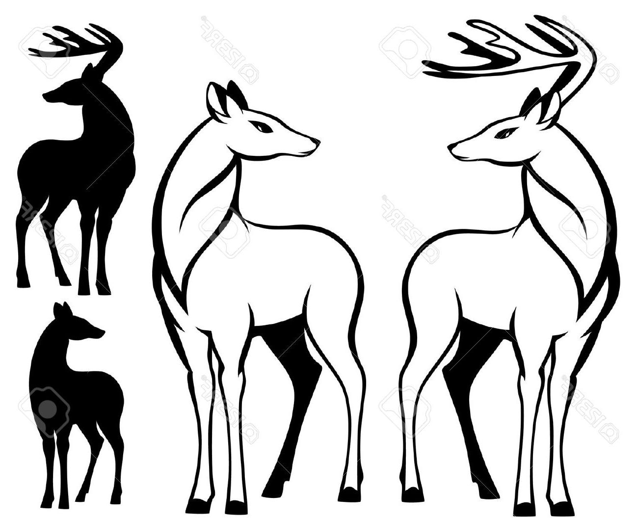 1300x1063 Doe Deer Drawing