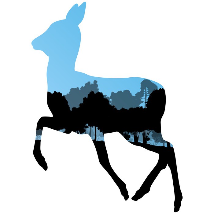 700x700 Doe Venison Deer Animal Silhouettes In Wild Nature Forest Landsc