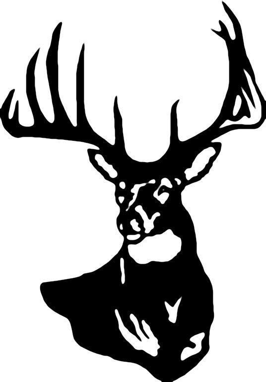536x768 Deer Head Clipart