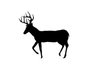 340x270 Buck Clipart Wildlife