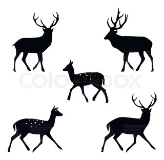320x312 Hand Drawn Deer Antlers Vectors. Vector Deer Antlers Isolated