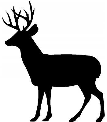 350x400 Deer Doe And Buck Family 2 Key Rack With Hooks