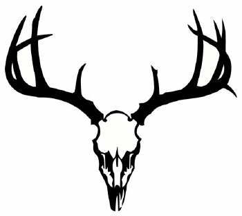 350x312 Deer Skull Clipart
