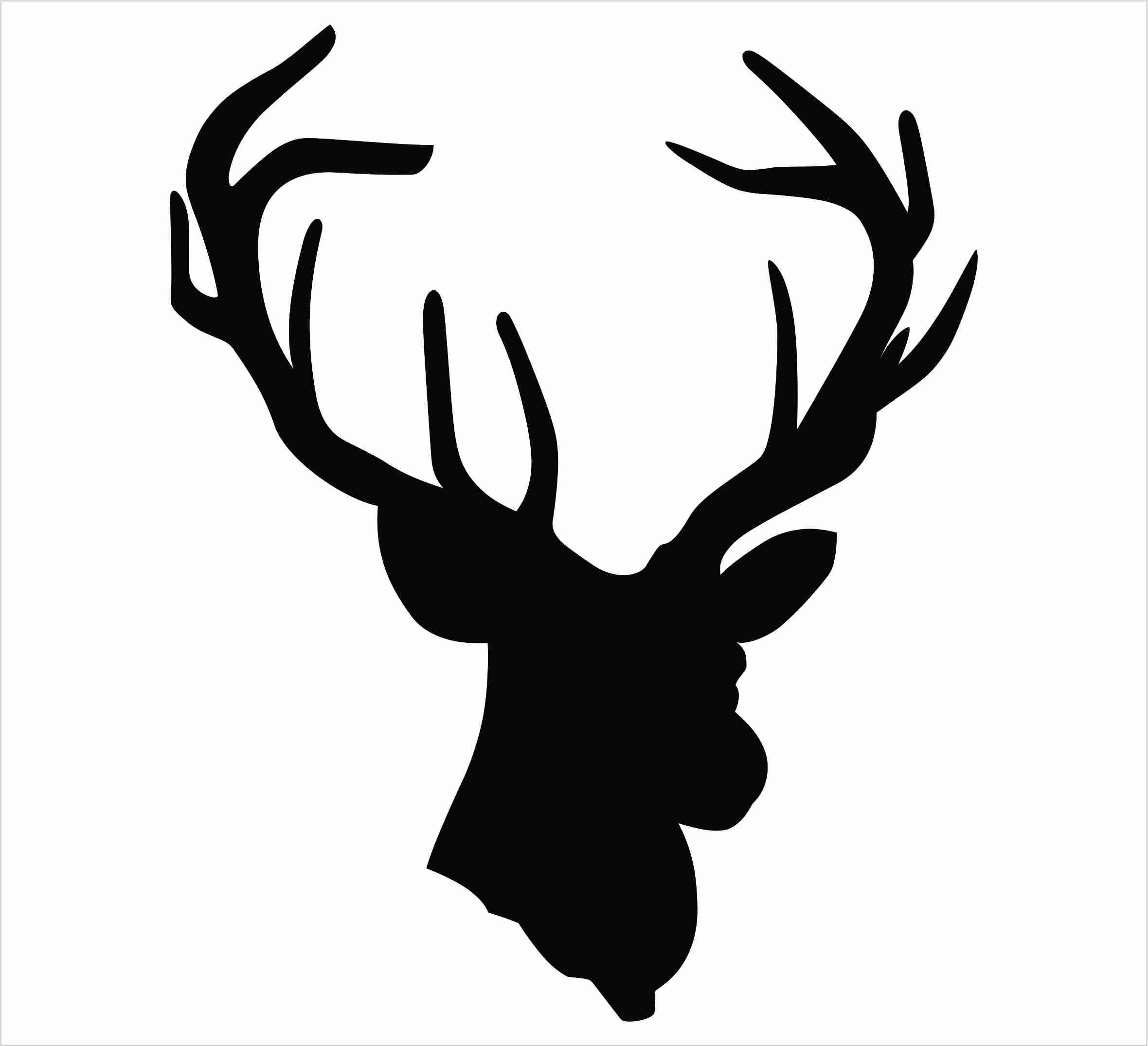2360x2151 Antler Clipart Deer Head Pencil And In Color Entrancing Antlers
