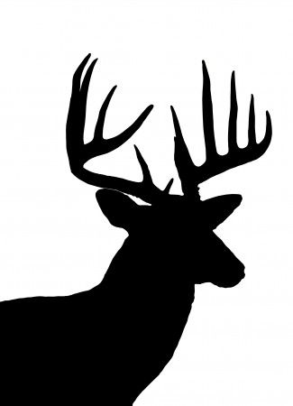 325x450 Deer Head Outline Clipart