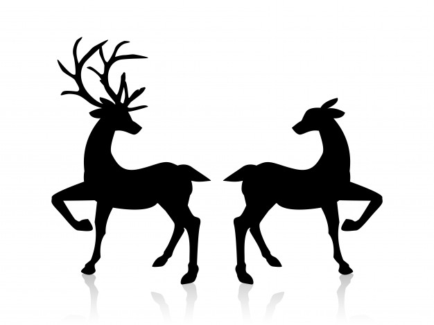 626x469 Reindeer Vectors, Photos And Psd Files Free Download