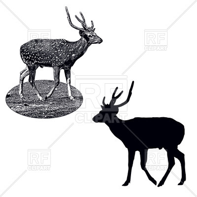 400x400 Silhouette And Shading Style Profile Of Male Of Spotted Deer