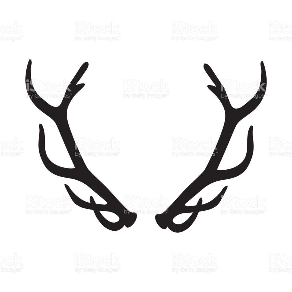1024x1024 Horns Clipart Deer Antler Pencil And In Color Picturesque