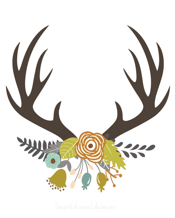 600x750 Wildlife Clipart Deer Horn