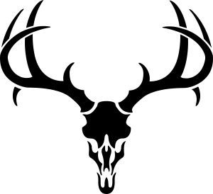 300x274 Deer%20skull%20drawing Deer Pics Antlers, Cricut