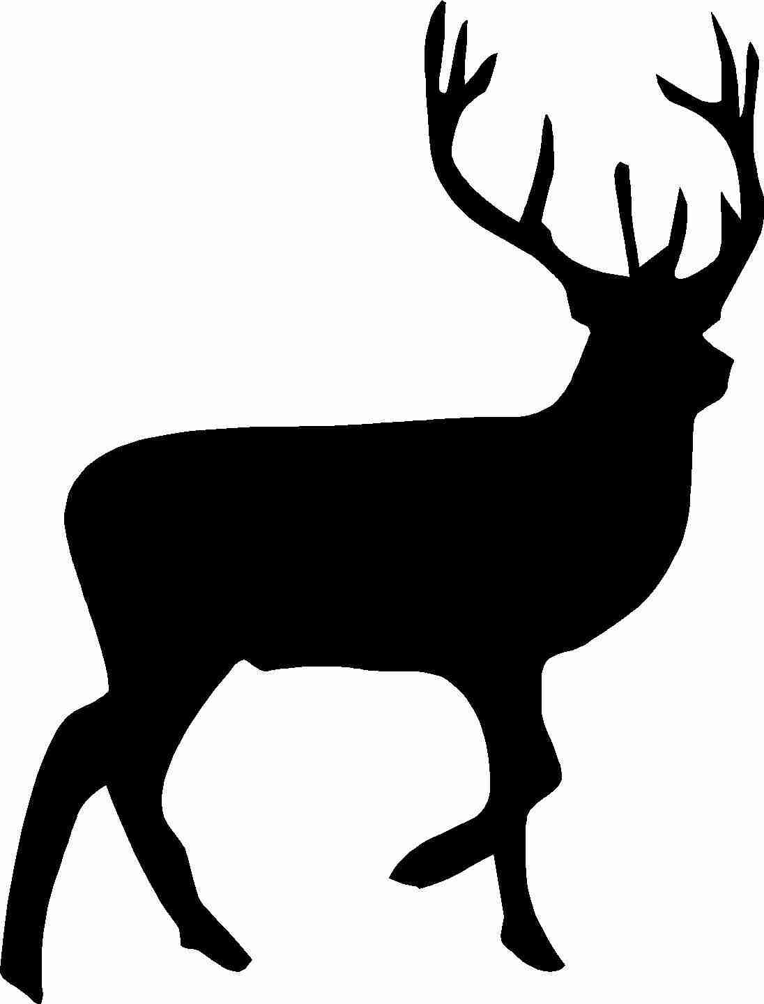 1096x1440 Free Deer Clipart
