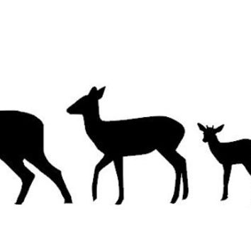 354x354 Deer Silhouette Family Vinyl Car Decal From Countrychicantiques