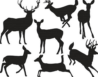 340x270 Deer Head Silhouette Clip Art Line Art Outline Buck Amp Doe