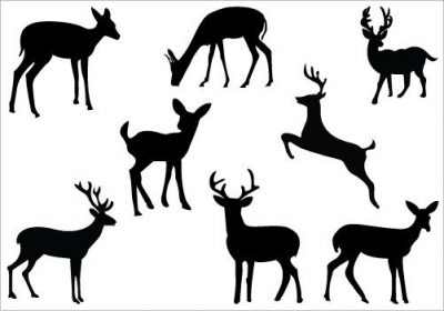 400x280 Deer Clipart Clipartaz Free Clipart Collection