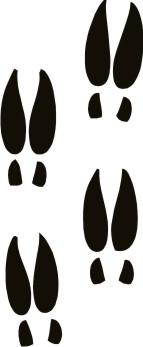 Deer Track Silhouette at GetDrawings | Free download