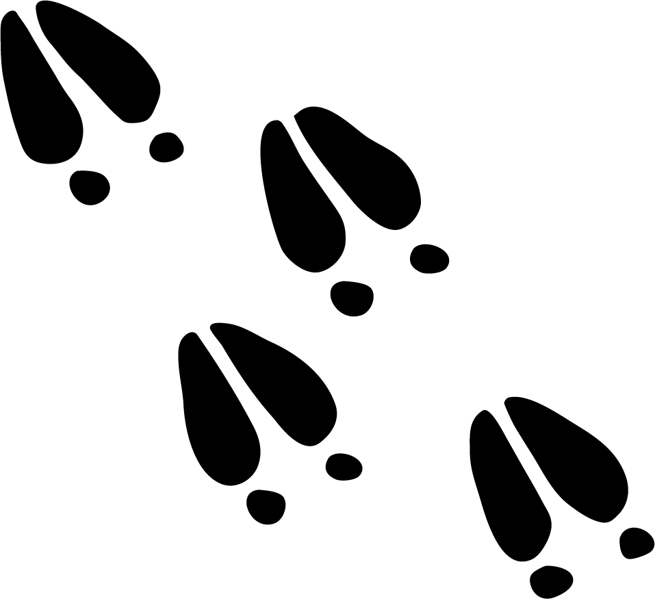 957x875 Deer Tracks Wall Decal