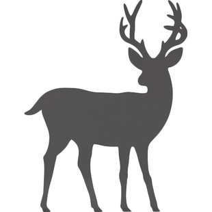 310x310 Whitetail Deer Wall Decal Wayfair