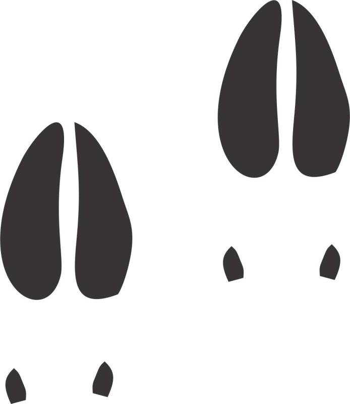 Deer Track Silhouette at GetDrawings | Free download