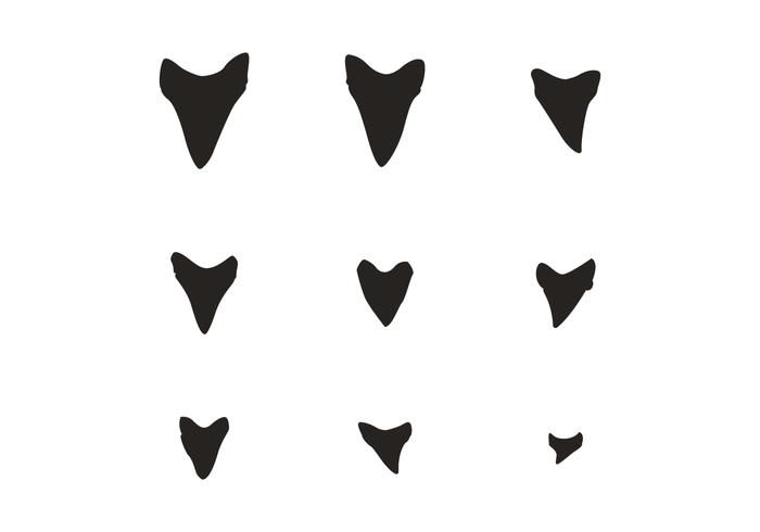 700x490 Shark Teeth Silhouette Vector