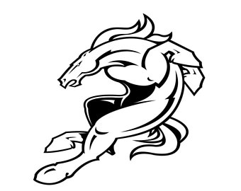 340x270 Pink Denver Broncos Etsy