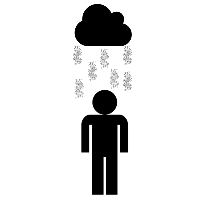 738x709 Genetic Factors In Depression, Neuroticism And Well Being O23