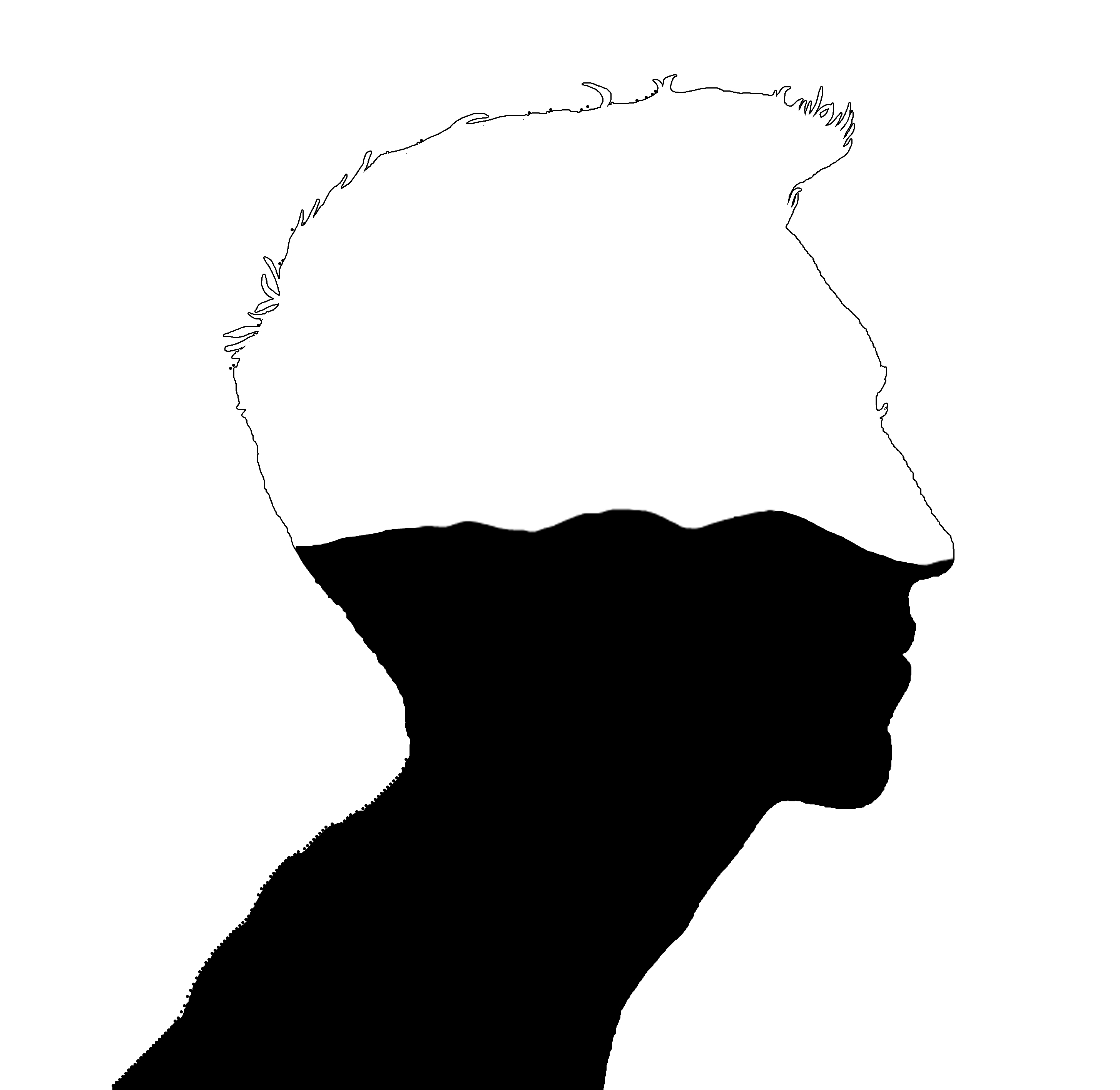 2910x2832 Mandel Muth Silhouette Interpretation 1 Hailesart