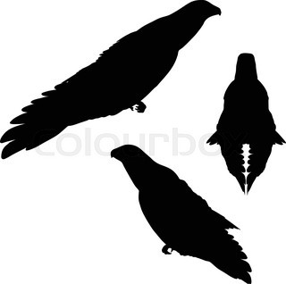 320x318 Eagle Silhouette Stock Vector Colourbox