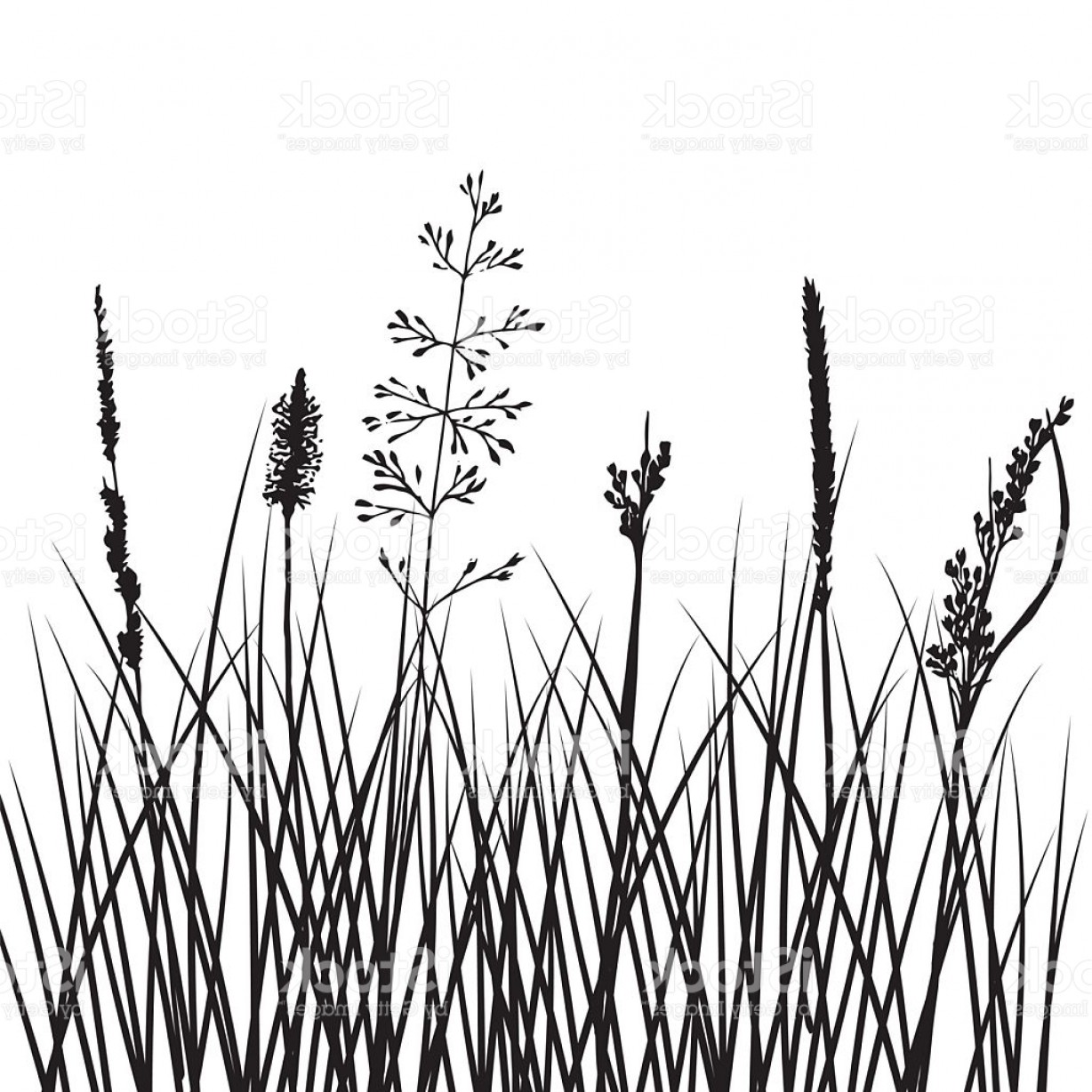 1228x1228 Grassy Black Vector Arenawp