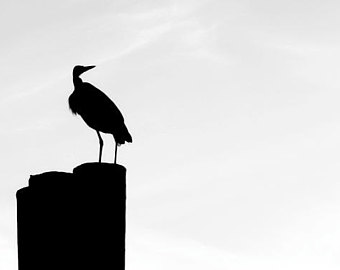 340x270 Bird Silhouette Art Etsy