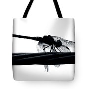 180x180 Dragons Silhouette Photograph By Art Dingo