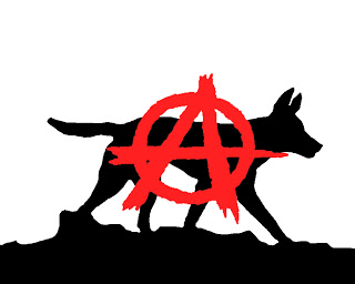 320x256 Haydon Racing Team News And Results Anarchy Dingo