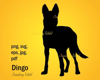 340x270 Dingo Etsy