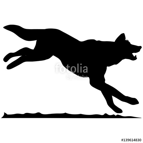 500x500 Silhouette Of A Dingo Dog.vector Illustration Stock Image