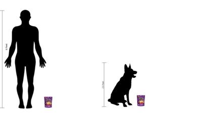 400x225 Dingo Breakfast Bites Egg Amp Bacon Dog Dental Treats