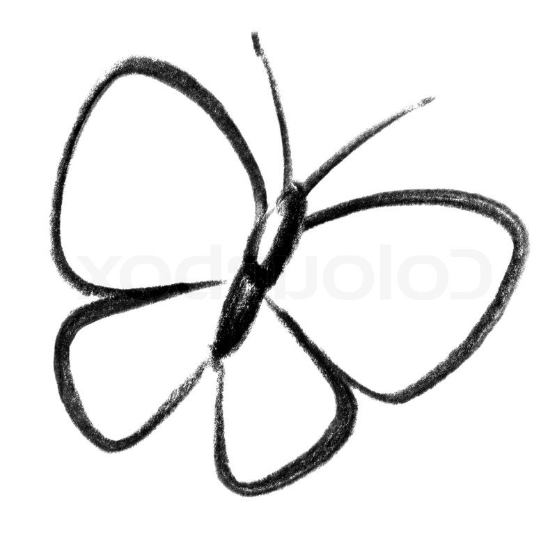 800x784 Carson Dellosa Butterfly Clip Art