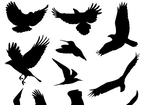 475x350 The Ultimate Collection Of [Free] Vector Packs Smashing Magazine