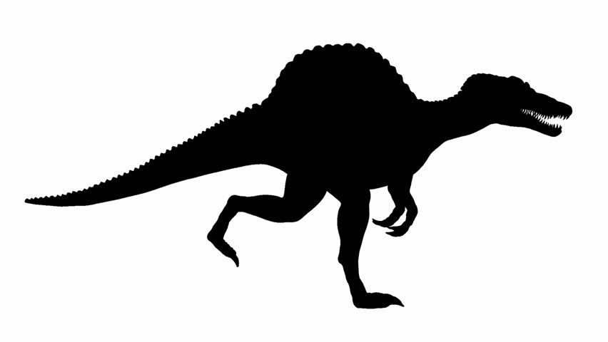 852x480 Dinosaur Silhouette Stock Video Footage