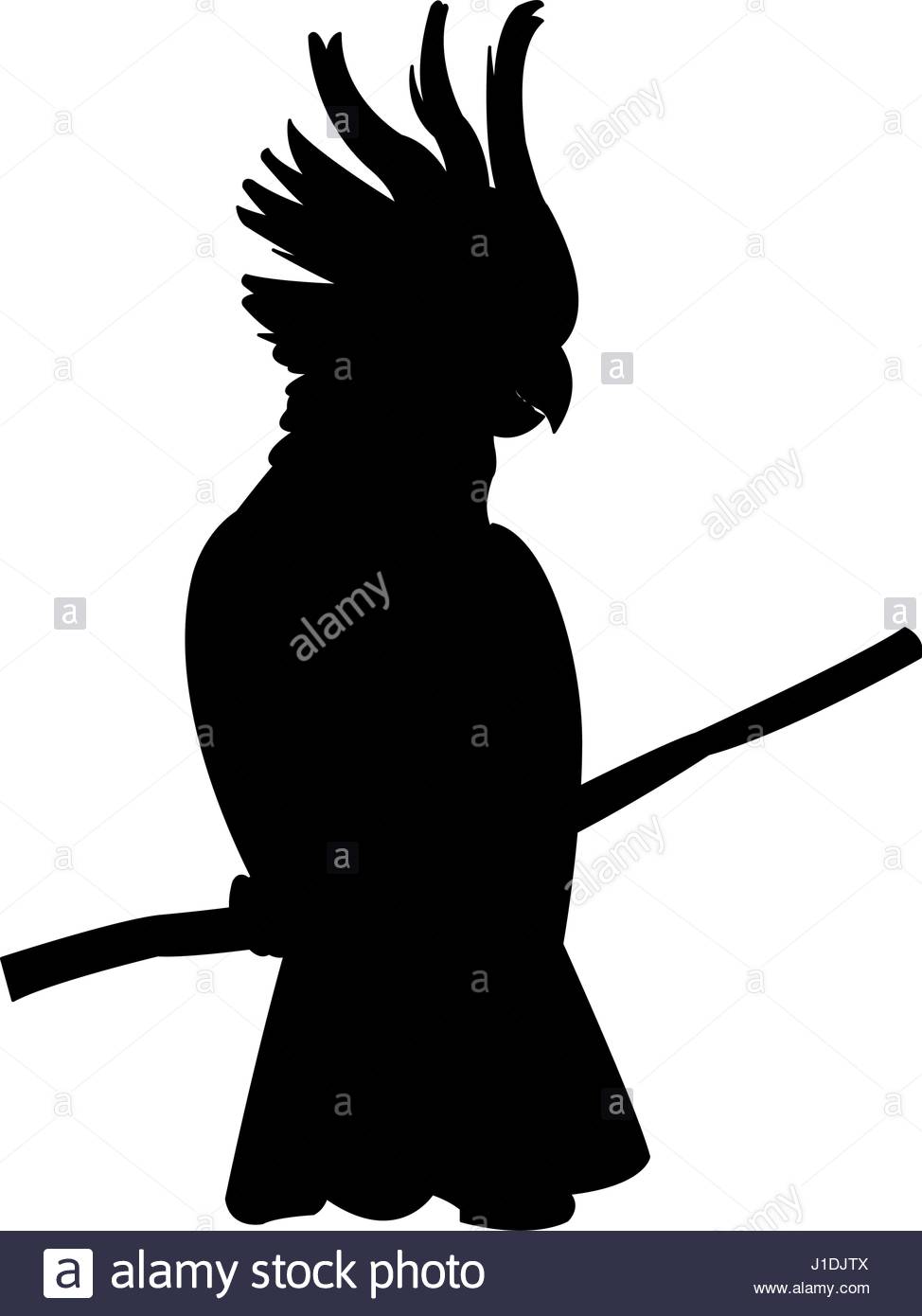 974x1390 Tropical Bird Icon Image Stock Vector Art Amp Illustration, Vector