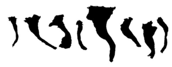 600x236 Introduction To Dna Barcoding Western Pennsylvania Mushroom Club