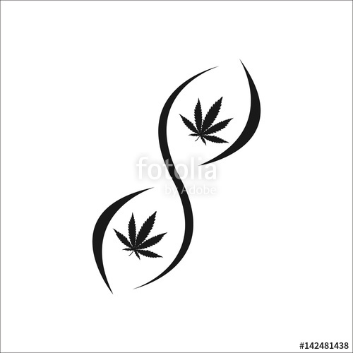 500x500 Marijuana Dna Simple , Silhouette Icon On Background Stock Image