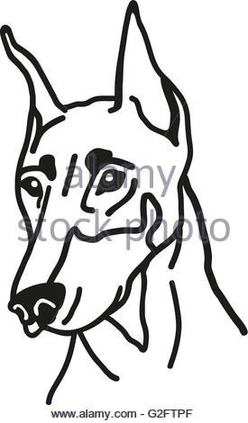 275x470 Silhouette Of A Dog Head Doberman Pinscher. Portrait Pedigree