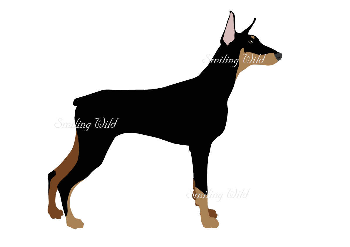 1191x842 Doberman Pinscher Svg Png Clipart Silhouette Dog Cutout Printable