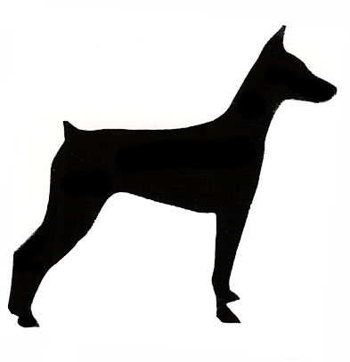 393x407 German Pinscher Clipart Silhouette