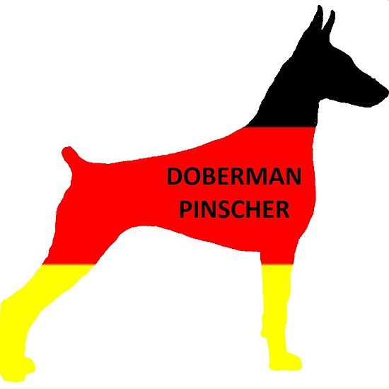 Doberman Silhouette