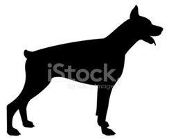 244x200 Doberman Pinscher Silhouette Stock Vectors