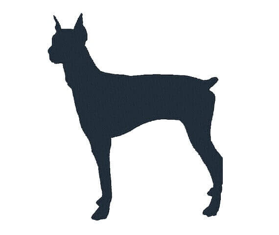 570x479 Doberman Silhouette Machine Embroidery Design Embroidery Designs