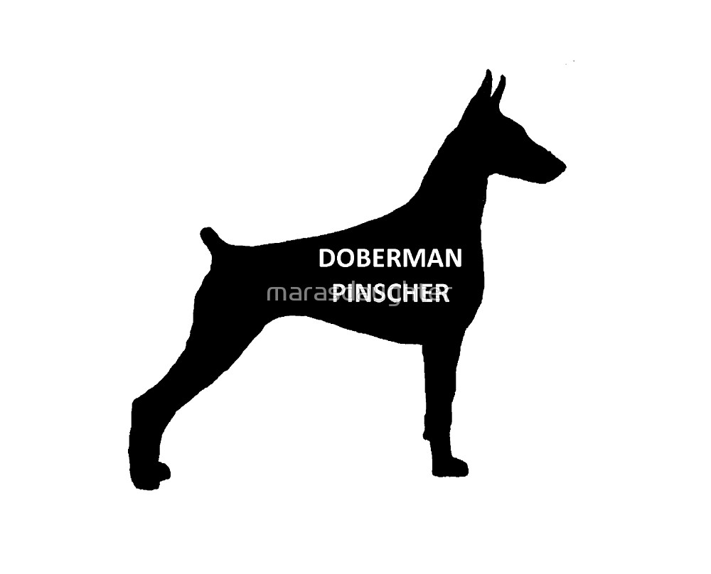 1000x808 Doberman Pinscher Name Silhouette By Marasdaughter Redbubble