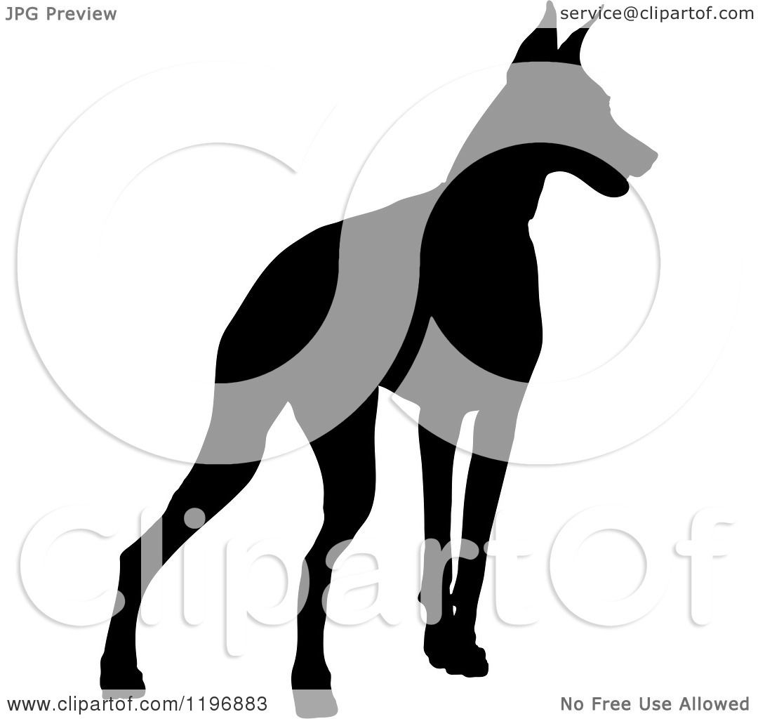 1080x1024 Doberman Pinscher Clipart Dag