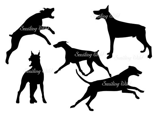 570x403 Doberman Pinscher Svg Png Clipart Silhouette Dog Cutout