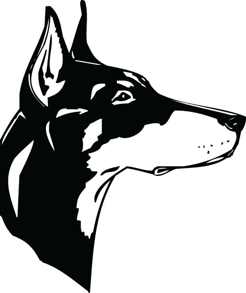 503x600 Doberman Clipart